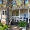 offerte maggio Camping Village Riva Dei Greci - Metaponto - Basilicata